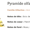 Pyramide Olfactive Bougie Végétale